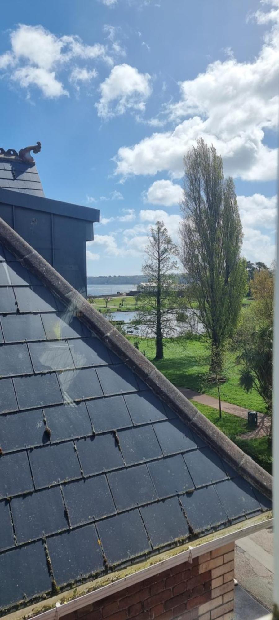 Rowcroft Lodge Guest House B&B Paignton Buitenkant foto