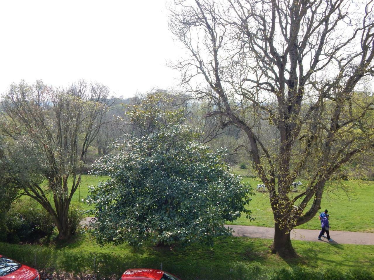 Rowcroft Lodge Guest House B&B Paignton Buitenkant foto